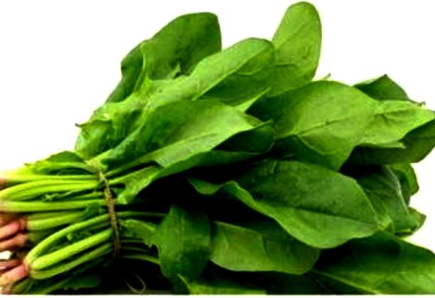 Do you also understand that spinach is a common vegetable, then know the amazing benefits of eating it in winters