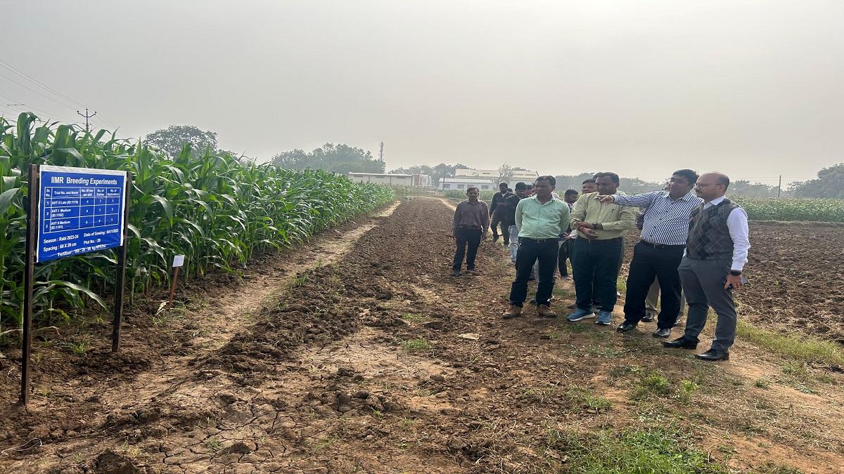 A meeting was held at the Chief Maize Research Centre, Godhra under the chairmanship of the District Collector