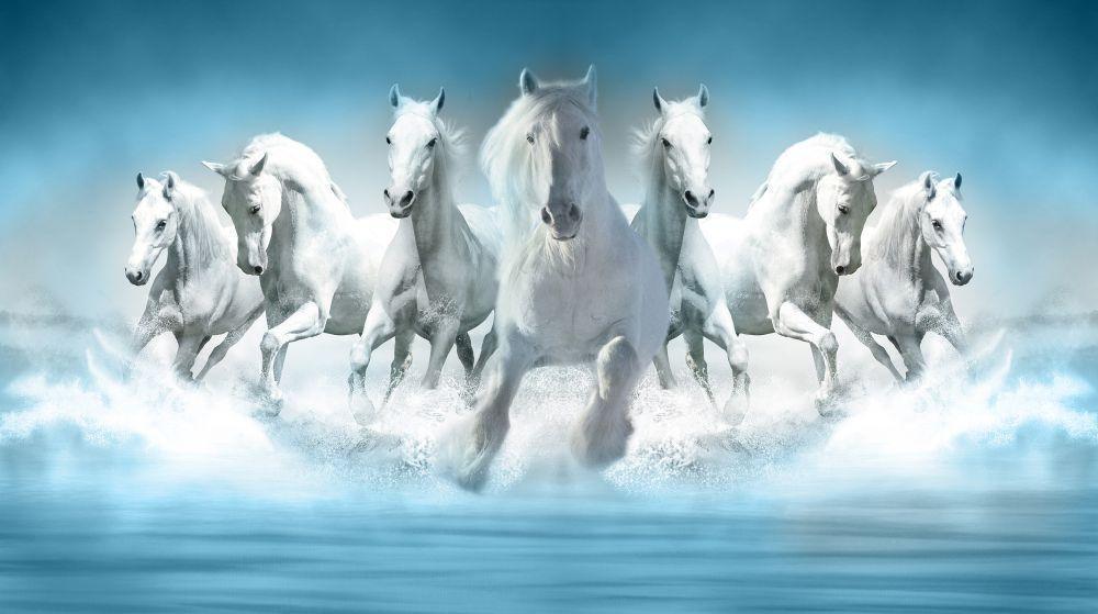 7 What kind of picture of a horse should be placed in the house? Know the things to keep in mind while buying a picture of seven horses according to Vastu