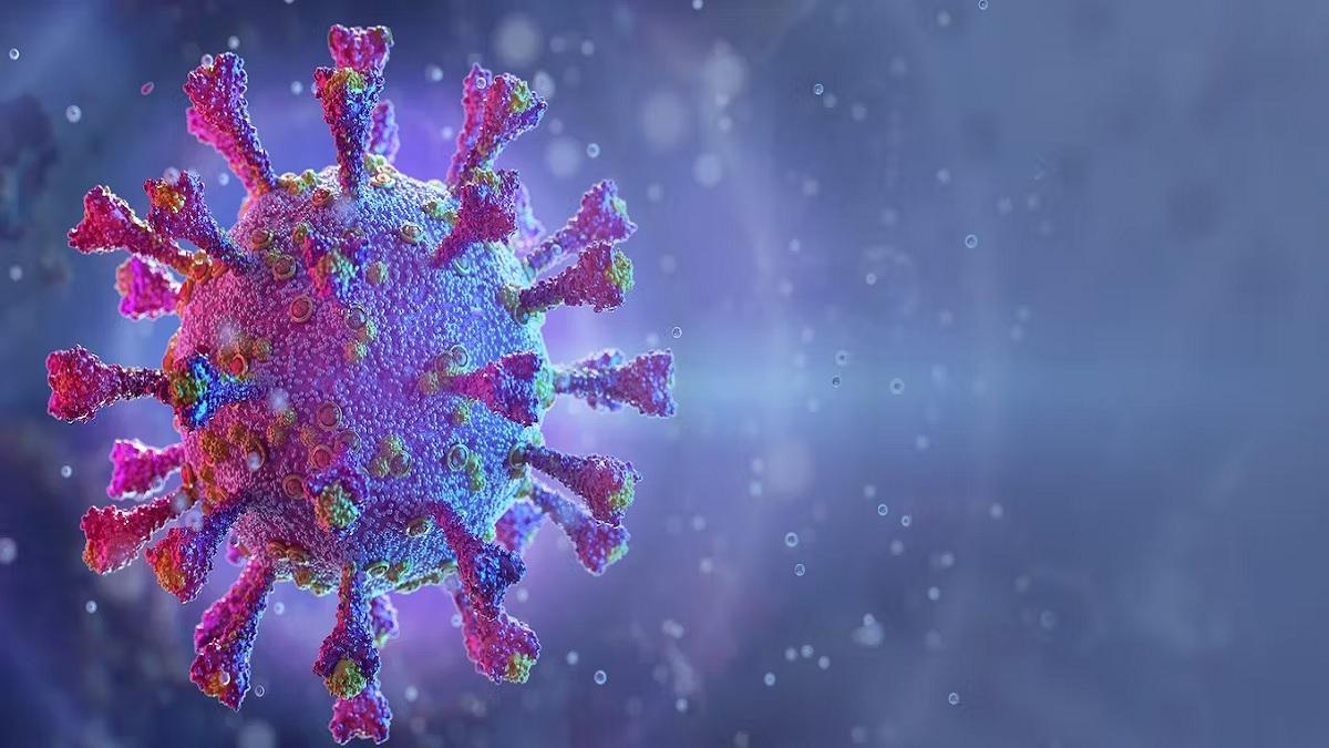 New virus came again, 1 died in Alaskapox in America